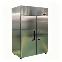 Congélateur professionnel pour la restauration, réfrigérateur vertical commercial en acier inoxydable avec thermostat numérique, homologué ETL