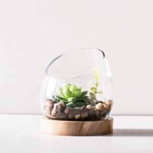 5 pollici Premium bocca inclinata in vetro trasparente pianta aria terrario, Mini ciotola di caramelle barattolo, portacandele Tealight, <span class=keywords><strong>vaso</strong></span> di <span class=keywords><strong>Cactus</strong></span> succulento - Product Image 3
