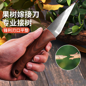 Couteau de greffage Niu Xiang 60 mm en acier inoxydable à bord lisse pour la greffage des arbres fruitiers - Product Image 1