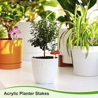 1 Paket Hiasan Akrilik Bentuk Kucing 4 Inci untuk Dekorasi Taman, Ornamen Tanaman Pot, Tanda Dekoratif untuk Pot Bunga/Penanam/Halaman/Teras