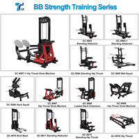 Équipement de gymnastique Pin Loaded Selection Strength Training Heavy-Duty Back Extension Machine for Professional Club
