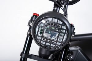 Scooter électrique avec side-car, scooter avec side-car, vélos électriques, scooters, Citycoco, motos chinoises avec side-car - Product Image 5