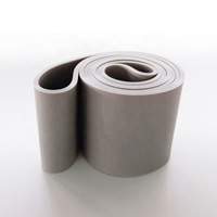 Bandes de résistance élastiques en TPE durables et écologiques à haute élasticité avec boucle de ceinture pour l'entraînement et le yoga