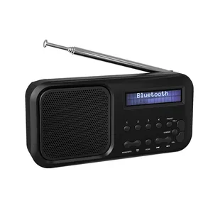 Migliore qualità Display a LED di piccole dimensioni Internet Radio FM lettore musicale MP3 altoparlante Mini tasca portatile Wireless DAB FM Radio Aux