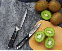 Ensemble de couteaux à fruits et légumes utilitaires 5 pièces ensemble de couteaux damas avec couteaux de cuisine à poignée militaire-garde G10
