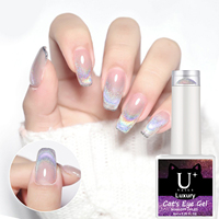 Vernis gel holographique oeil de chat magnétique paillettes 9d aimant acrylique vernis à ongles nuancier