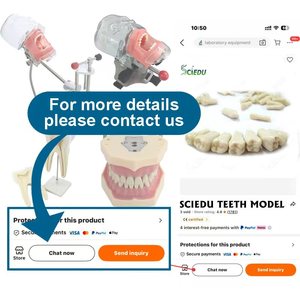 Tandheelkundig model voor het onderwijzen van patiënt-doctorcommunicatie, tandheelkundige afdrukvorm, transparant, afneembaar implantaat voor kinderen - Product Image 6