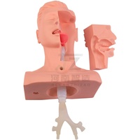 Modelo de Entrenamiento Avanzado en Aspiración de Esputo para Ciencias Médicas, Maniquí de Entrenamiento en Aspiración Traqueal
