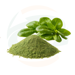 ผงสารสกัดผักโขมพรีเมียมจากสมุนไพรจีน <span class=keywords><strong>คลอ</strong></span><span class=keywords><strong>โร</strong></span><span class=keywords><strong>ฟิ</strong></span><span class=keywords><strong>ล</strong></span><span class=keywords><strong>ล</strong></span>์ธรรมชาติ อุดมด้วยธาตุเห<span class=keywords><strong>ล</strong></span>็ก วิตามินซูเปอร์ฟู้ดเพื่อสุขภาพ บรรจุขวด/ถัง - Product Image 4