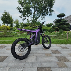 <span class=keywords><strong>Precio</strong></span> de Fábrica para Motocicleta Eléctrica Lynx de 10KW 72V con Motor Central de Litio, Frenos de Disco, 120km de Autonomía, <span class=keywords><strong>Moto</strong></span> de Carreras para Adultos - Product Image 5