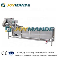 Volautomatische Industriële Oranje Fruitwasmachine Maquina Para Lavar Naranjas