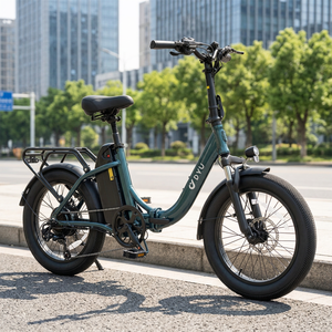 Vélo Électrique Urbain 20 Pouces avec Pneus Larges, Porte-Bagages Arrière, Moteur Brushless 250W, Écran LCD 7 Vitesses, Cadre en Aluminium Électronique - Product Image 1