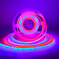 2022 nouvelle Bonne Vente 24V Magie RGB Longueur Bandes RVB Rêve Couleur Kit Cob Bande Lumière