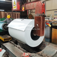 Bobine d'acier galvanisé prélaqué ASTM A653 EN 10169, 0,25 mm, 0,8 mm, 1200 mm, Z30, revêtement en zinc, bobine PPGI pour la construction