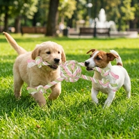 Nouveauté : Jouet à mâcher pour chien en polyester résistant, balle à nœuds en corde pour jeu interactif de la force de la traction