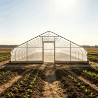 Serre de jardin moderne 25x60 pieds, tente de culture préfabriquée en acier galvanisé, alternative imperméable pour la culture à domicile dans la cour, facilement assemblable