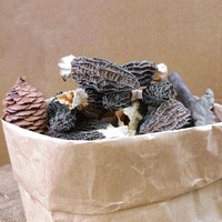 Truffe séchée de haute qualité Morchella Esculenta entière emballée en sachet, brute