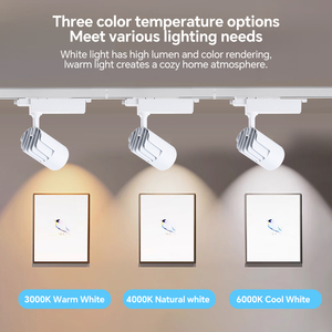 Meilleur éclairage de piste de restaurant nordique commercial 35W 110V Spot dans le plafonnier suspendu Cob Led Track Light - Product Image 3