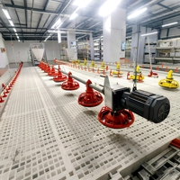 Système d'élevage de poulets de chair en gros, équipement d'élevage avicole pour l'élevage de poulets, fournitures avicoles, outils agricoles, mangeoires pour animaux