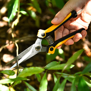 Tijeras de podar de acero inoxidable para árboles frutales, podadora de bypass con mango de plástico, herramienta manual de jardín para huertos y viñedos - Product Image 5