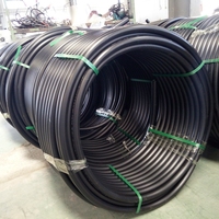 Tuyau d'Eau REHOME 40mm X 100m en Plastique Noir, Tuyau d'Alimentation en Eau PEHD SDR11 PN16 pour l'Irrigation