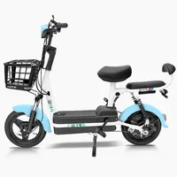E-Bike 350W Vélo électrique 2 places Scooter électrique Vélo de ville électrique Vélo électrique avec batterie au plomb