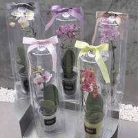 Boîte de rangement en plastique à bon prix, emballage à clapet sous blister de forme personnalisée pour plantes