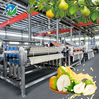 Automatische Verse Lijn Fruit & Groente Juicer Machine Watermeloen Waxberry Crabapple Sap Pers Hoge Efficiëntie Groentesappers