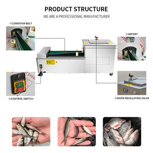 Machine de nettoyage et d'écaillage de poisson de haute qualité - Machine de transformation du poisson en acier inoxydable au prix d'usine - Product Image 2