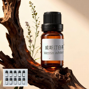 Difusor de Aceites Esenciales de 5 ml, Recargable, sin Agua, con Fragancia de Alta Concentración para Aromaterapia - Product Image 4