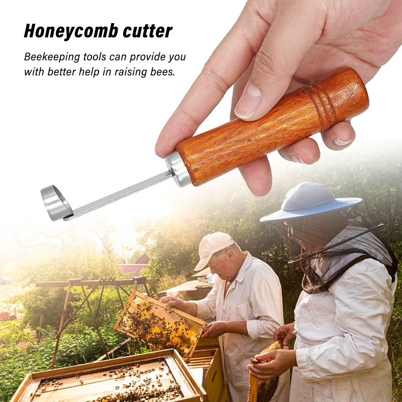 Bee Catcher Cage Beekeeping Tools Plastic