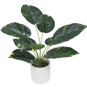 ต้นมอนสเตอร่าจิ๋วปลอม ใบสัมผัสเหมือนจริง ทนรังสียูวี เป็นมิตรกับสิ่งแวดล้อม ปรับแต่งขนาดได้ สำหรับตกแต่งภายในบ้านและสำนักงาน - Product Image 5