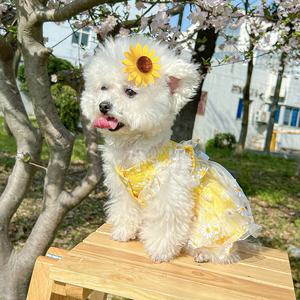 Vestidos <span class=keywords><strong>de</strong></span> Lujo para Mascotas, Estilo Princesa, para Bodas, Fiestas, Diseño Adorable, <span class=keywords><strong>Primavera</strong></span>-Verano, con Flores <span class=keywords><strong>de</strong></span> Margarita, Tipo Sling, Poliéster Hipoalergénico - Product Image 5