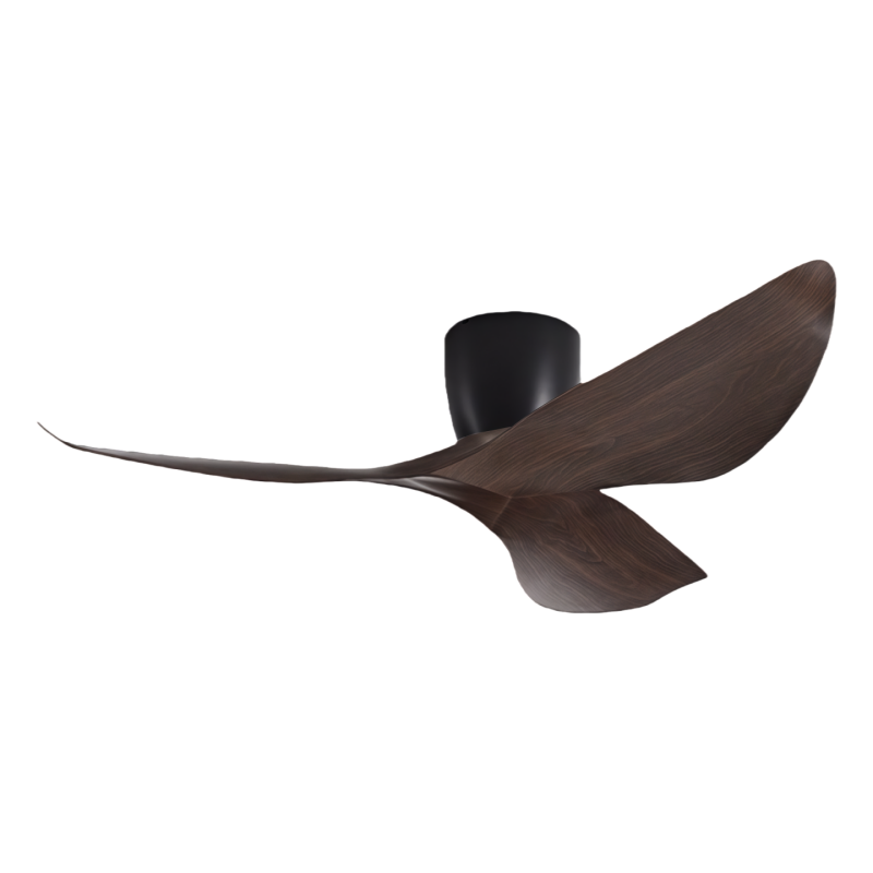 Black Walnut