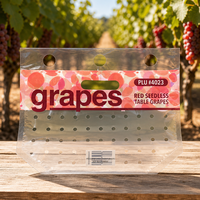 Sacs en plastique perforés respirants à fermeture éclair en PP de qualité alimentaire pour l'emballage des raisins rouges sans pépins