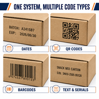 Imprimante PIJ à base d'huile 72 mm pour cartons ondulés d'aliments de type snack, codage de la date et QR, IPS-6701