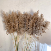 Herbe de la Pampa en Gros pour Décoration de Mariage, Fleur Immortelle, Accessoires de Photographie, Grande Herbe de la Pampa