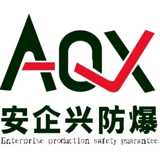 Zhejiang Anqixing Electric Co., Ltd.