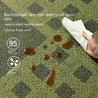 Luxus moderne Wohnzimmer Teppich schmutz abweisend pflegeleicht grün umwelt freundlich 10mm dicker Polyester großflächiger Teppich