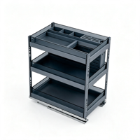 Accessoires de cuisine, panier coulissant en aluminium multifonctionnel avec finition laquée et glissière pour épices