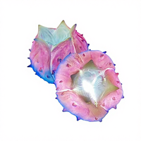 Lumières LED de Noël 3D, design de plante carnivore de couleur fantaisie, éclairage paysager de jardin extérieur, télécommande, indice de protection IP65, 360