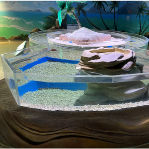 ตู้ปลาเต่าขนาดใหญ่ - Product Image 4