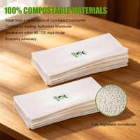 Sacs plats transparents biodégradables et compostables personnalisés avec logo pour l'emballage de coques de téléphone et de housses mobiles – Vente en gros