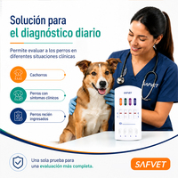 Kit de diagnostic 4-en-1 pour maladies canines : Parvovirus, Moquillo, Giardia, Coronavirus chez le chien