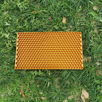 Plateaux de semis 353 434 561 pour germination Padday, plateaux de semis en plastique pour semis de riz