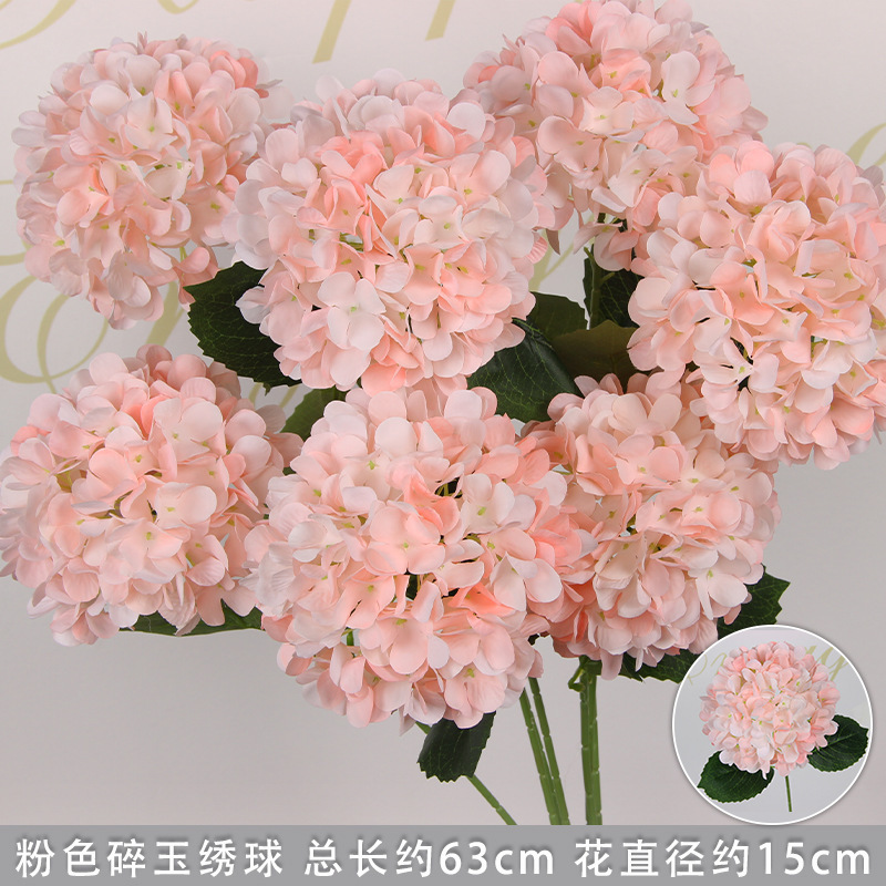 Hortensia rose avec des feuilles
