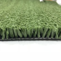 Gazon artificiel imperméable pour cricket, hauteur de poils de 10 mm, pour intérieur, synthétique, haute densité PE SF10
