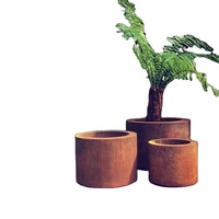 Kustom Pot bunga luar ruang tanaman logam besar kotak kebun besar tanaman Corten Steel Taman tepi