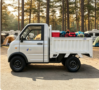 Camionnette électrique à 4 roues EEC L6e COC 3500W, directement de l'usine, batterie 3000W 72V 105AH