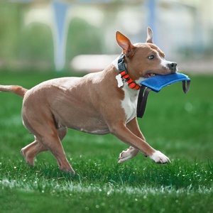 कुत्ते काटने वाले खिलौना पालतू चूने तकिया खिलौना कपड़े नायलॉन कुत्ते को युद्ध, लाने और पिल्ला प्रशिक्षण - Product Image 3